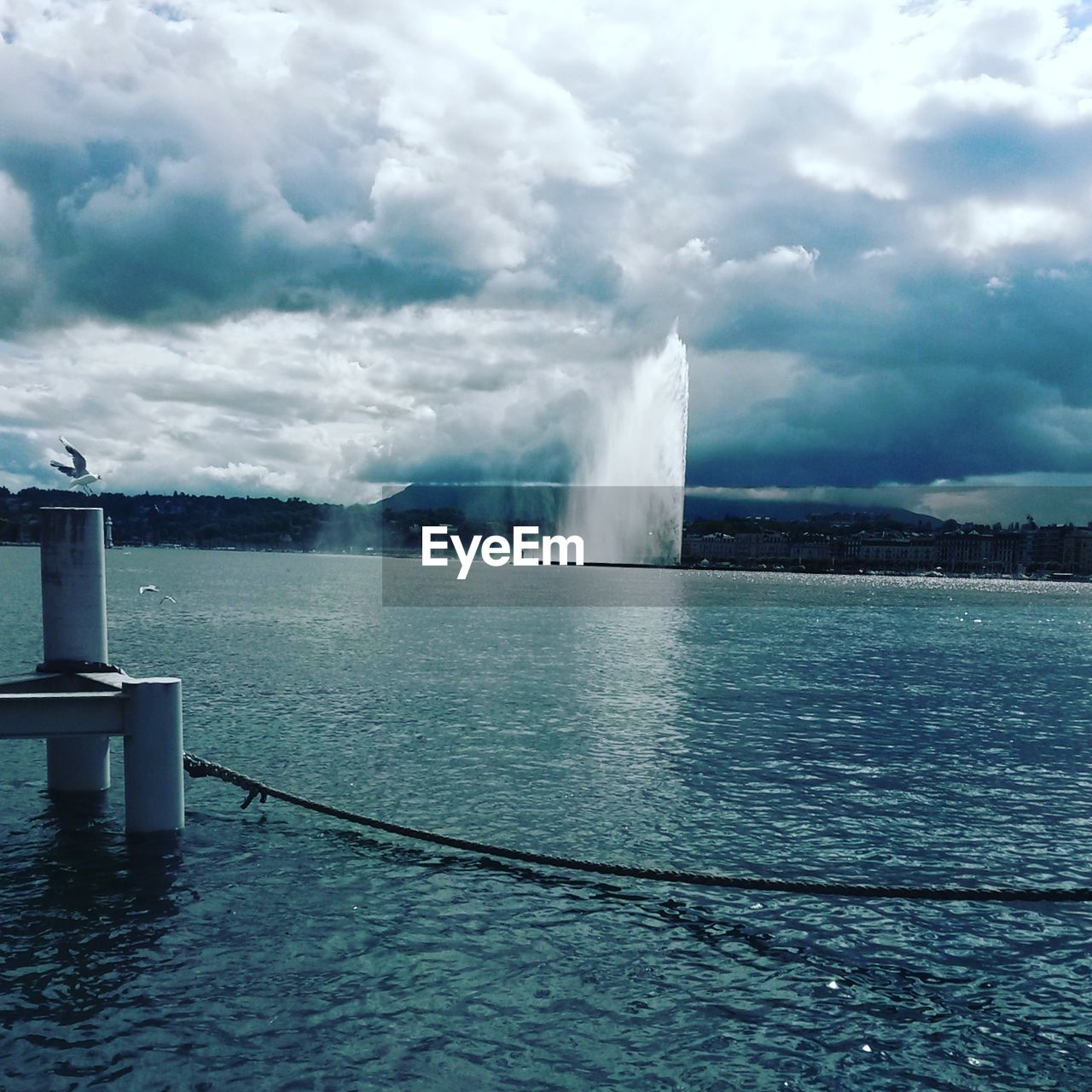 Bird taking off from bollard in lake against cloudy sky