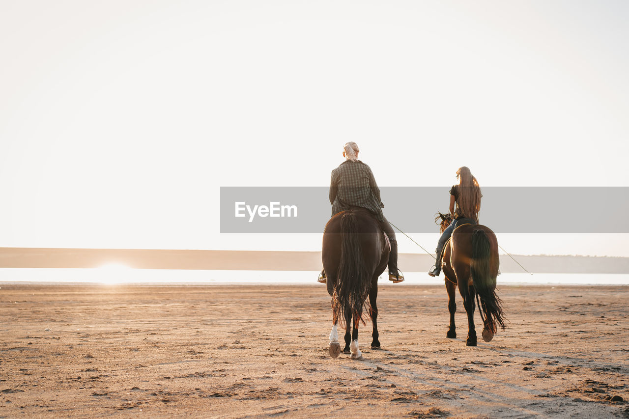 Rear view of people horseback riding at beach