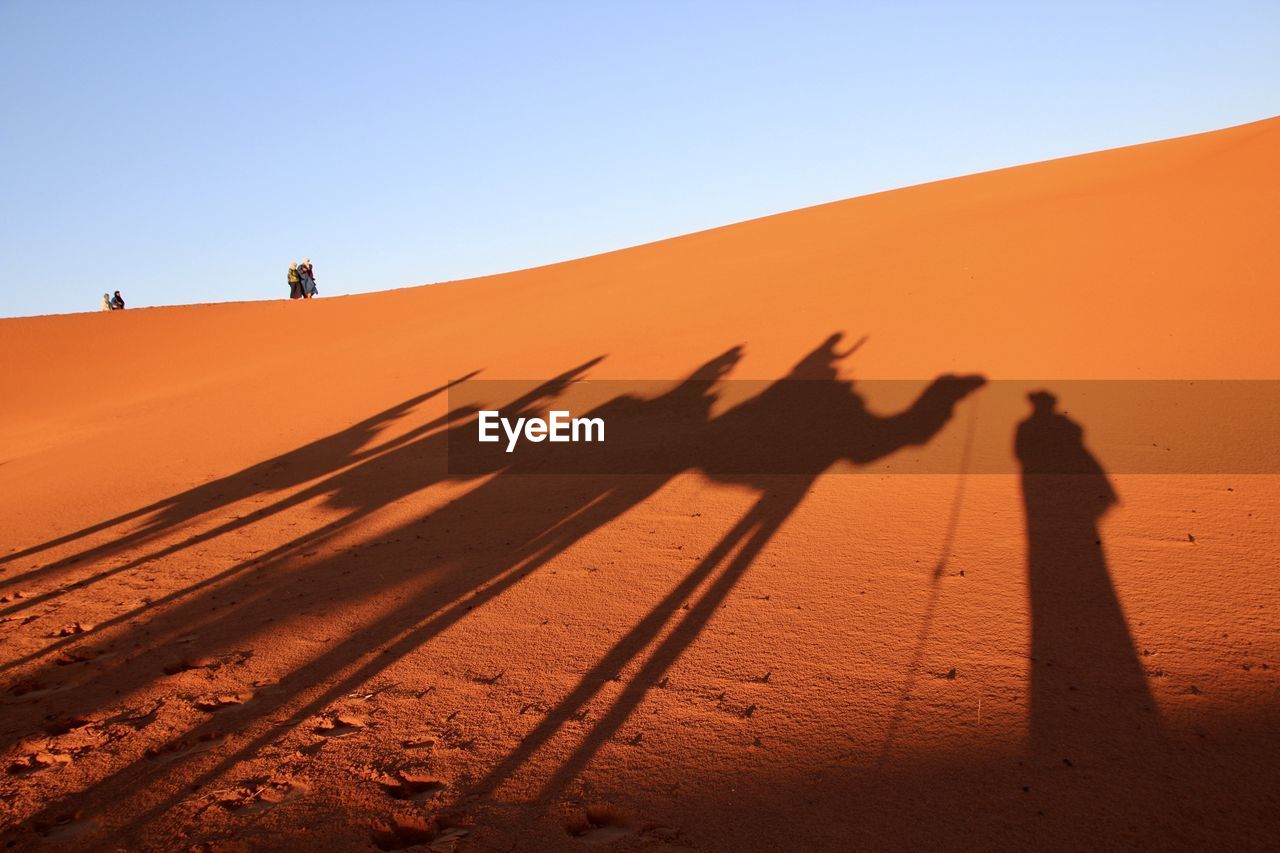 Shadow of people and camels on sand dune against clear sky