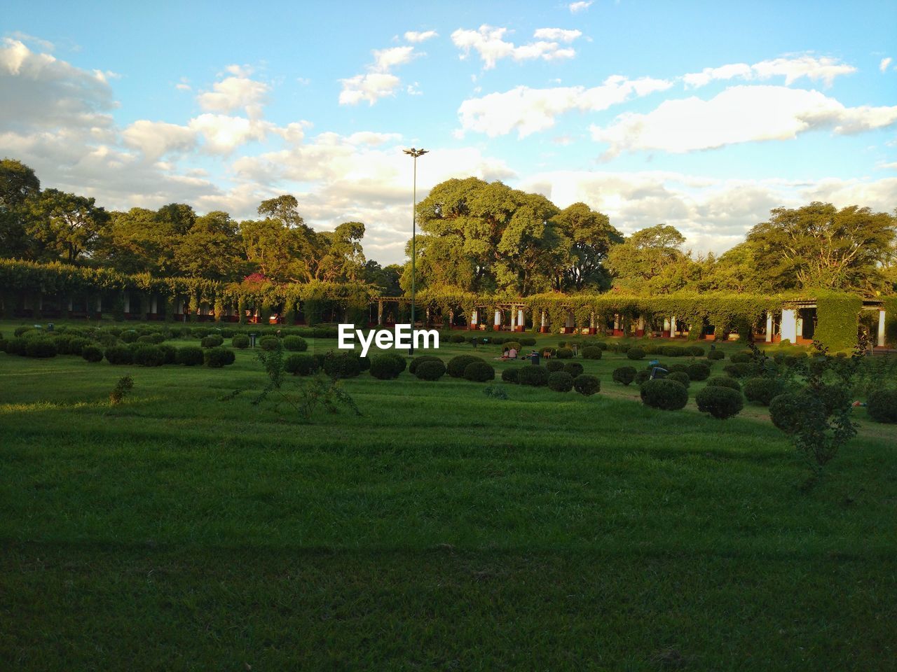 SCENIC VIEW OF FARM AGAINST SKY