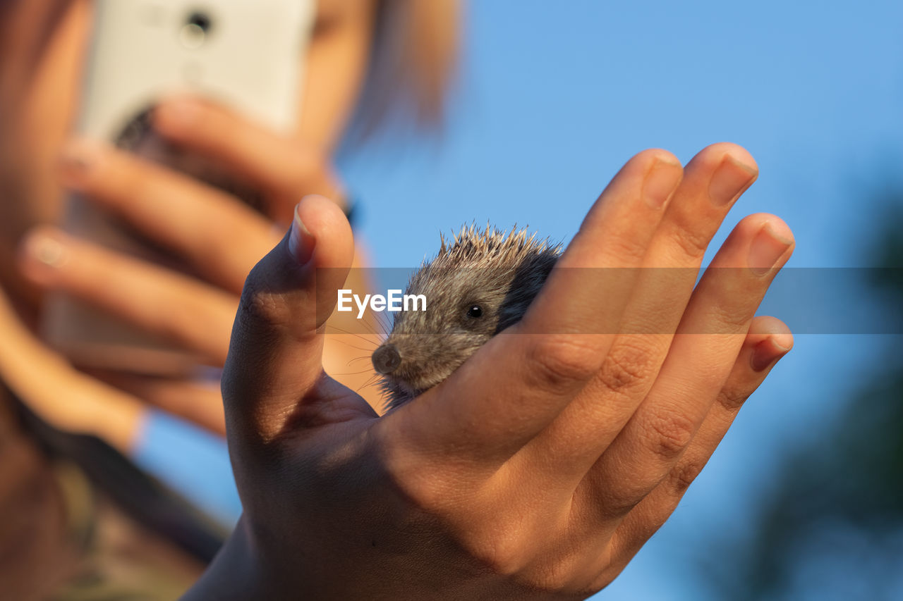 CLOSE-UP OF HUMAN HAND HOLDING LEAF