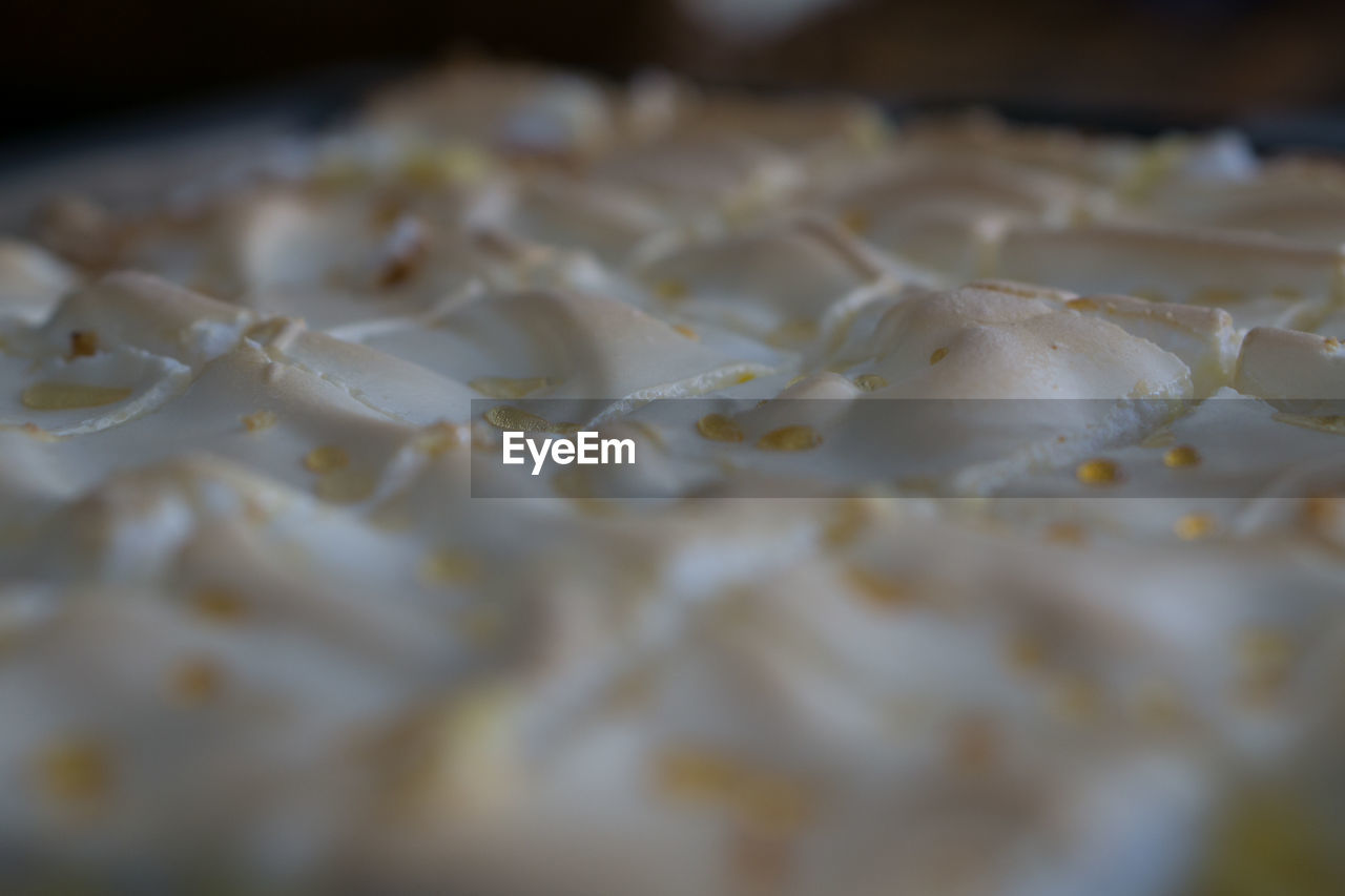 CLOSE-UP OF CAKE ON PLATE