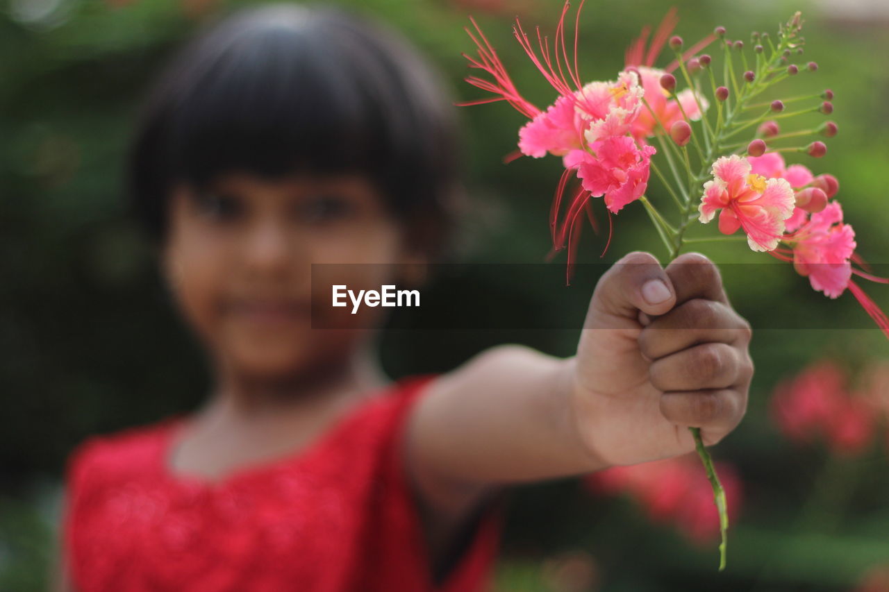 CLOSE-UP OF BOY HOLDING RED FLOWER
