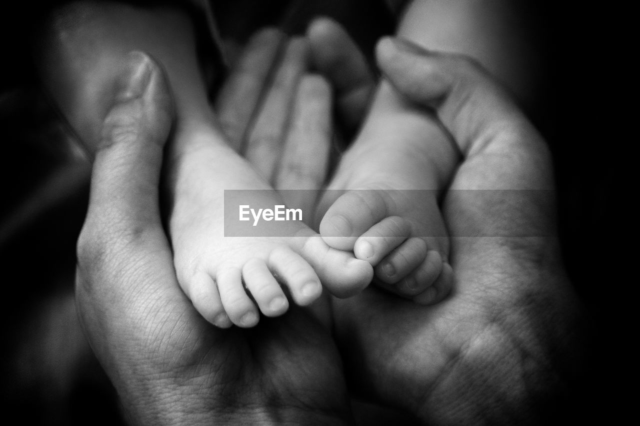 Close-up of adult holding baby's feet