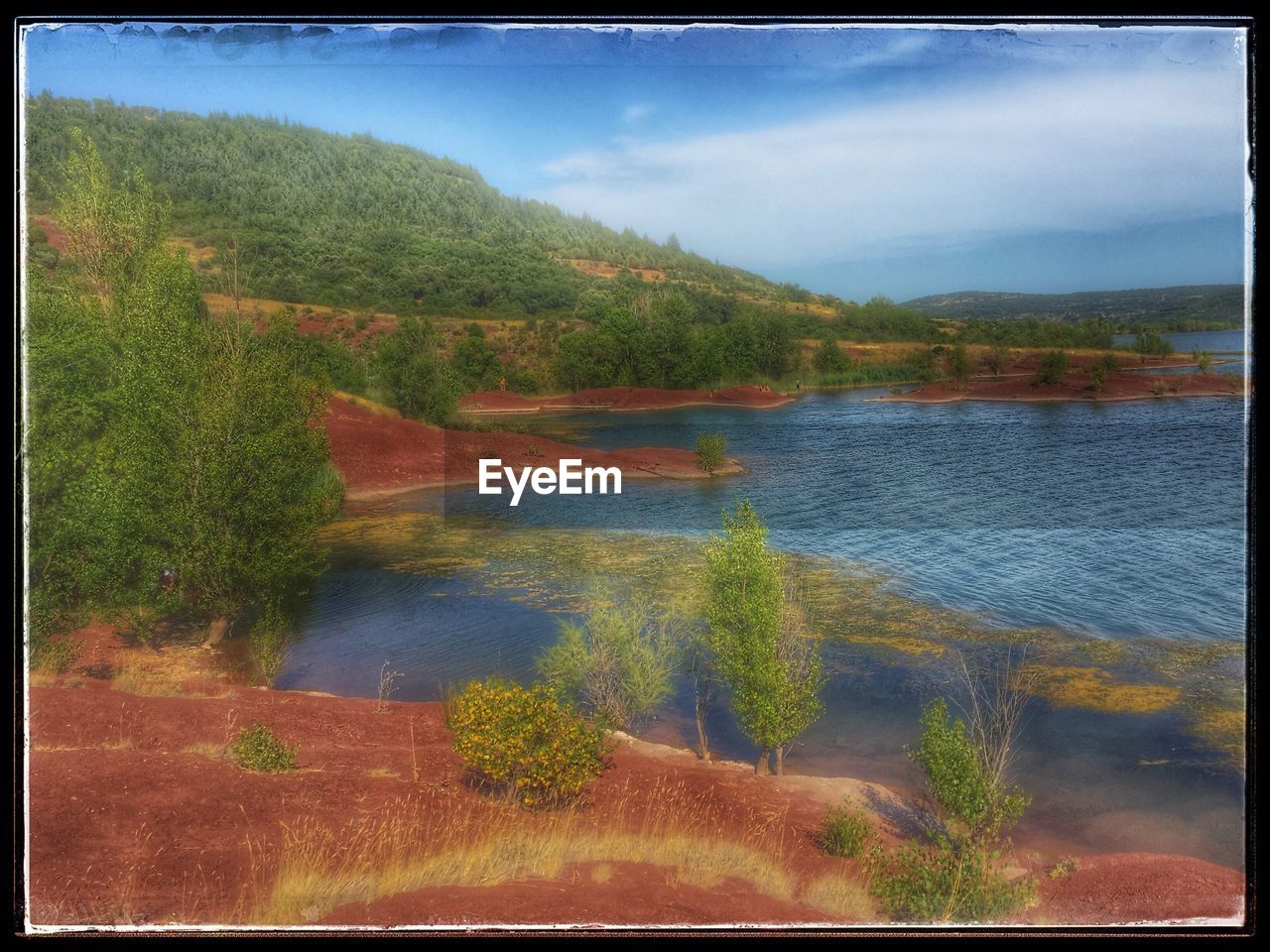 SCENIC VIEW OF LAKE BY TREES AGAINST SKY