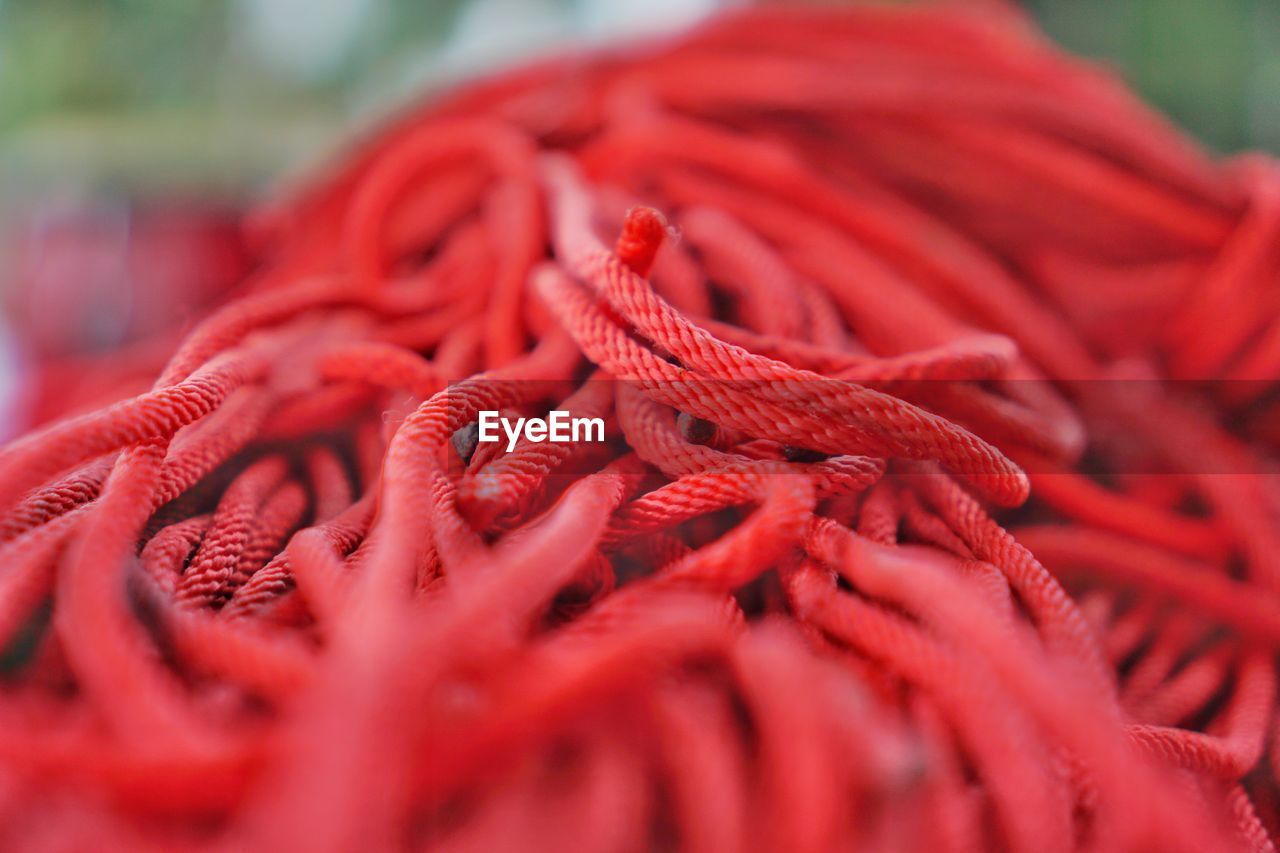 Close-up of red rope
