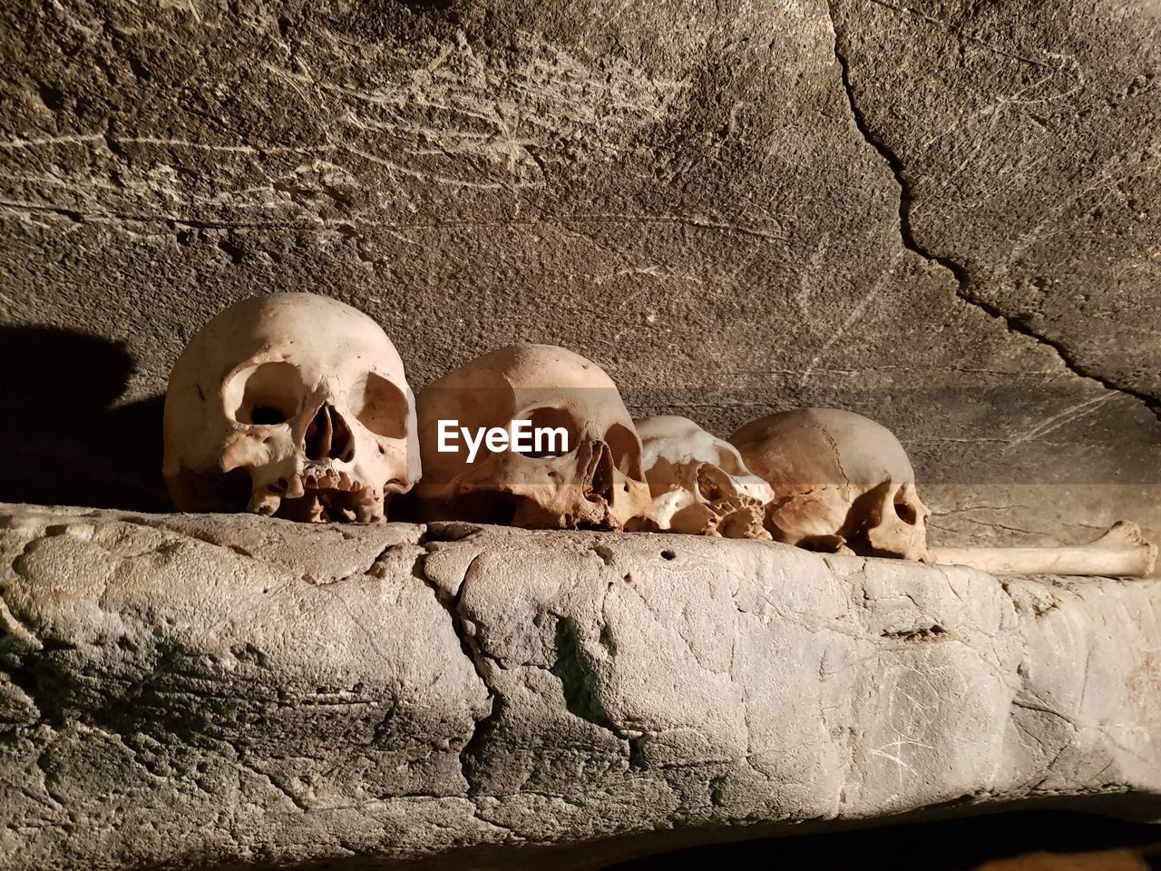 Human skulls on stone