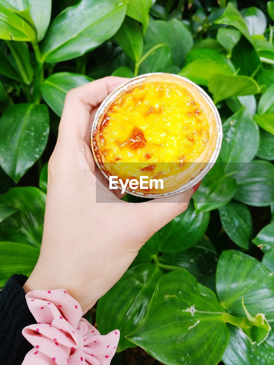 Close-up of woman holding sweet food over plant