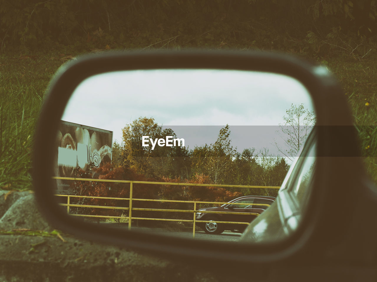REFLECTION OF TREES IN SIDE-VIEW MIRROR OF CAR