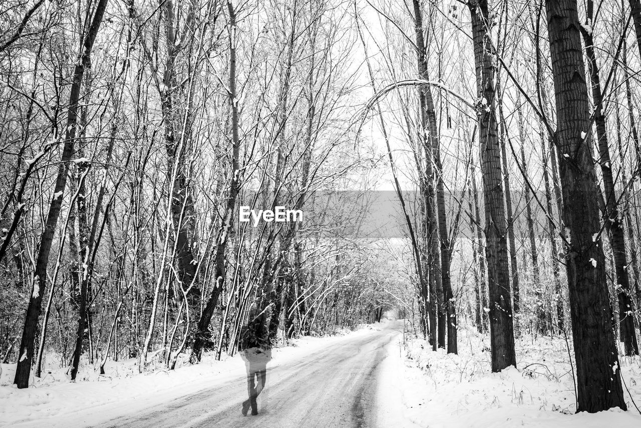 Snow covered road amidst trees in forest