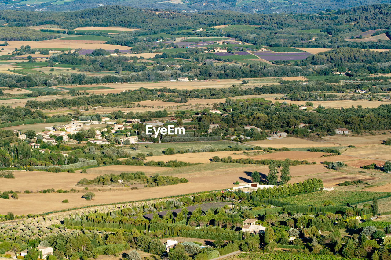 High angle view of agricultural field