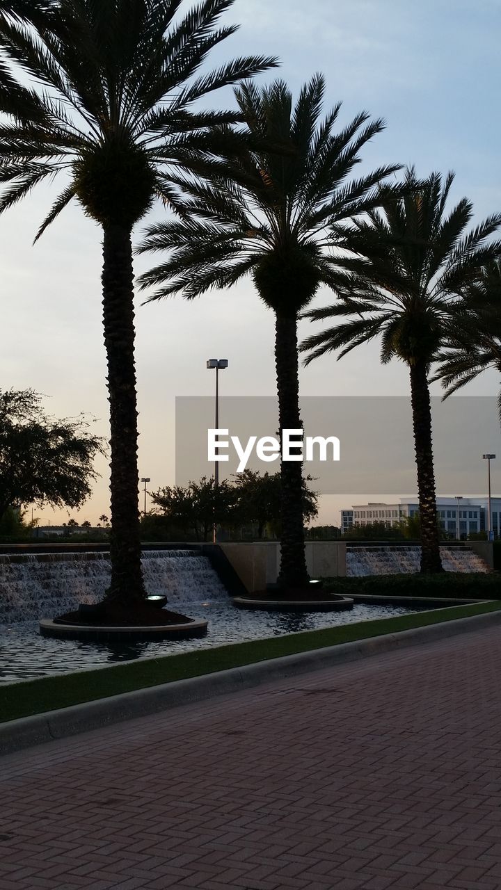 Silhouette palm trees on artificial pond against sky