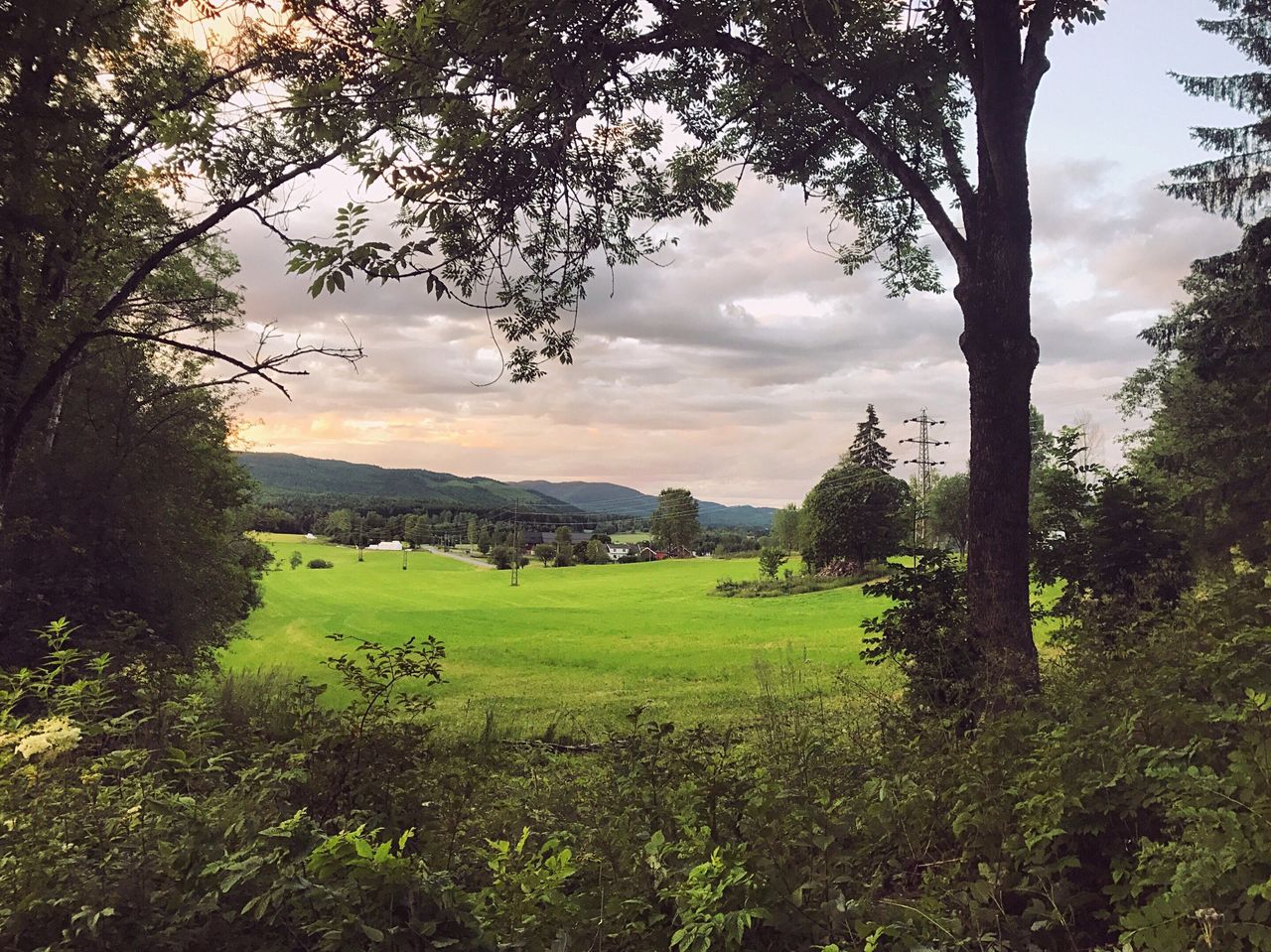 SCENIC VIEW OF LAND AGAINST SKY