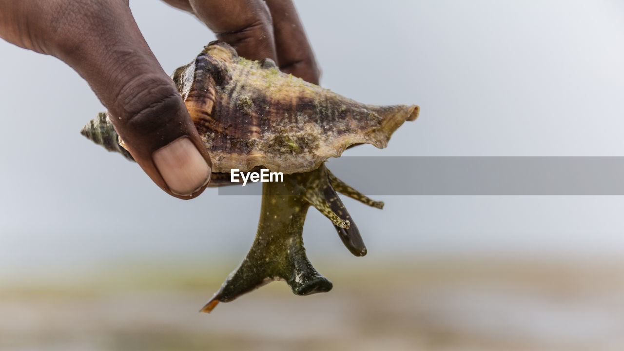 LOW SECTION OF PERSON HOLDING FISH