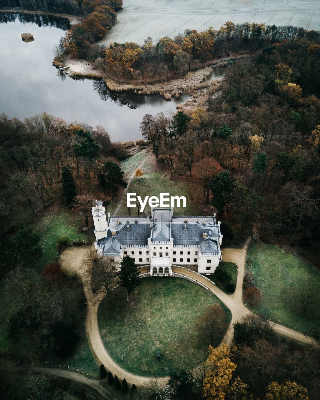 HIGH ANGLE VIEW OF TREES BY PLANTS