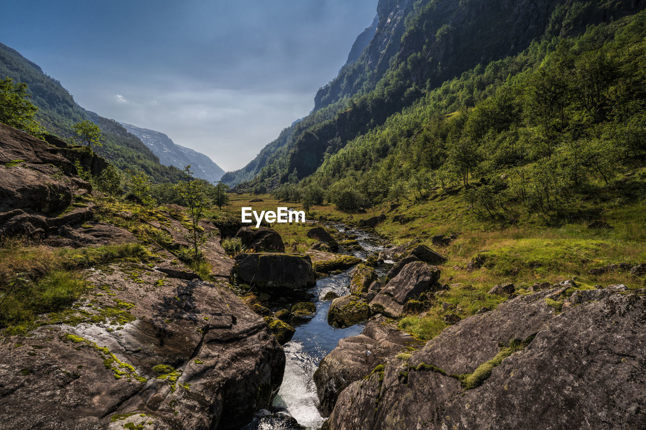 SCENIC VIEW OF RIVER AMIDST PLANTS AGAINST SKY