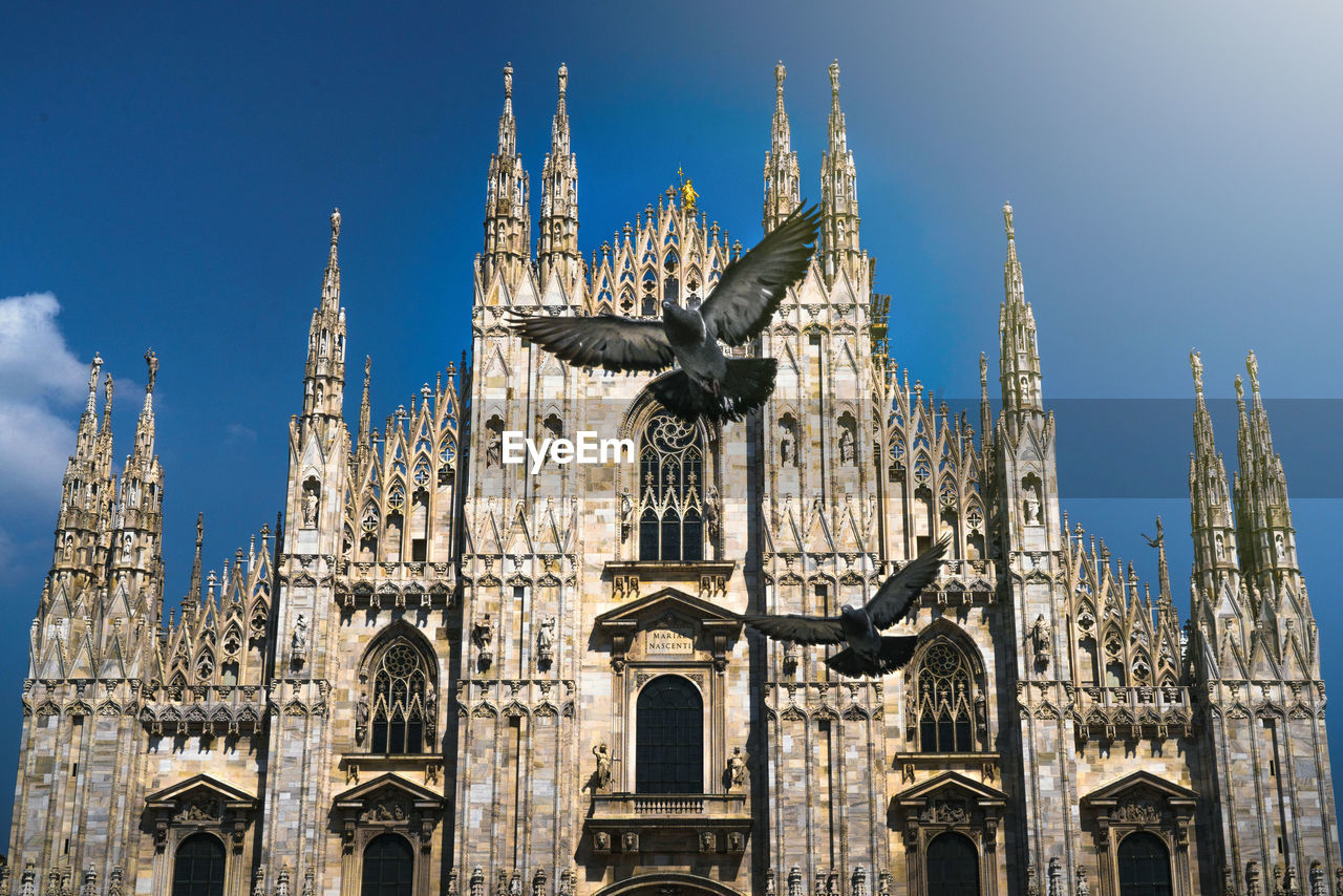 Low angle view of birds flying against cathedral