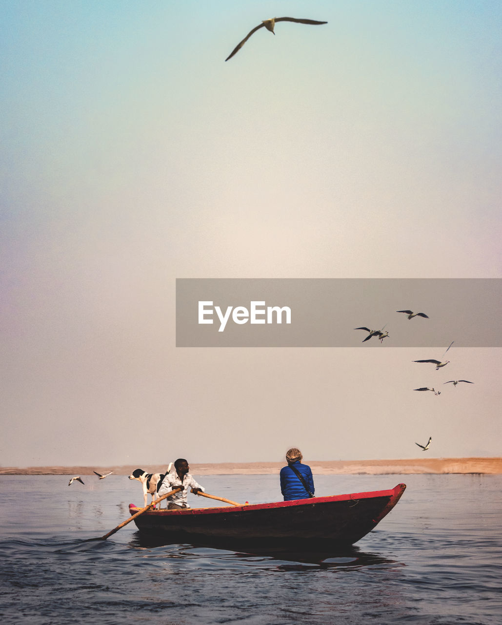 People sitting in boat over sea against flying birds