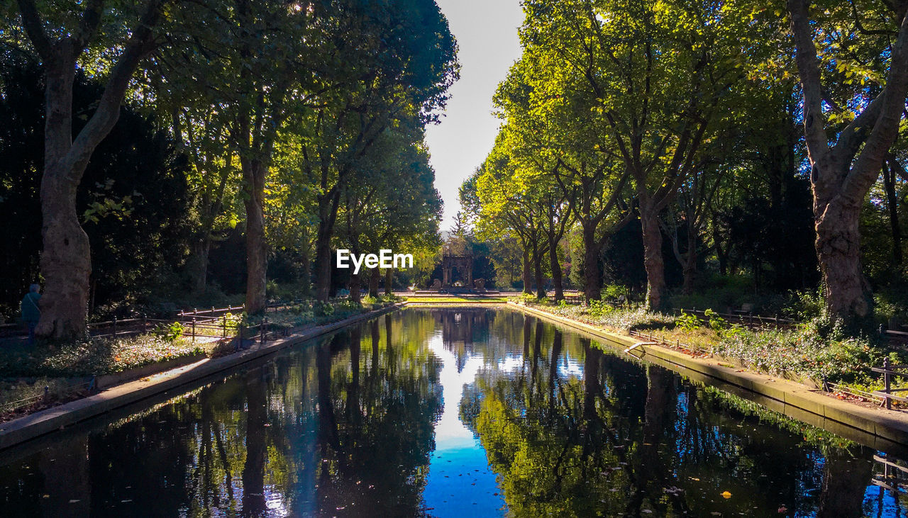 VIEW OF TREES ALONG CANAL