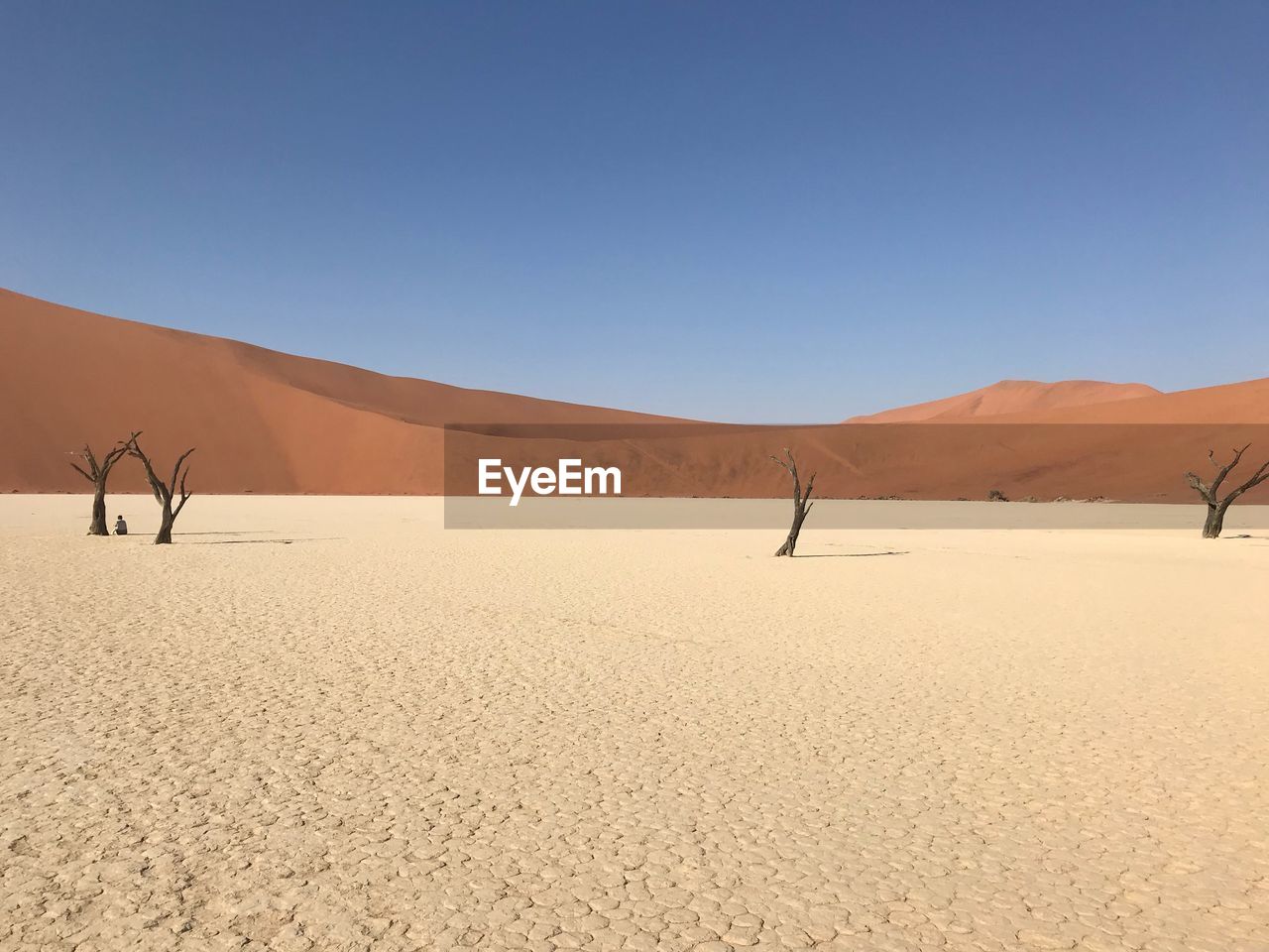 Scenic view of desert against clear sky