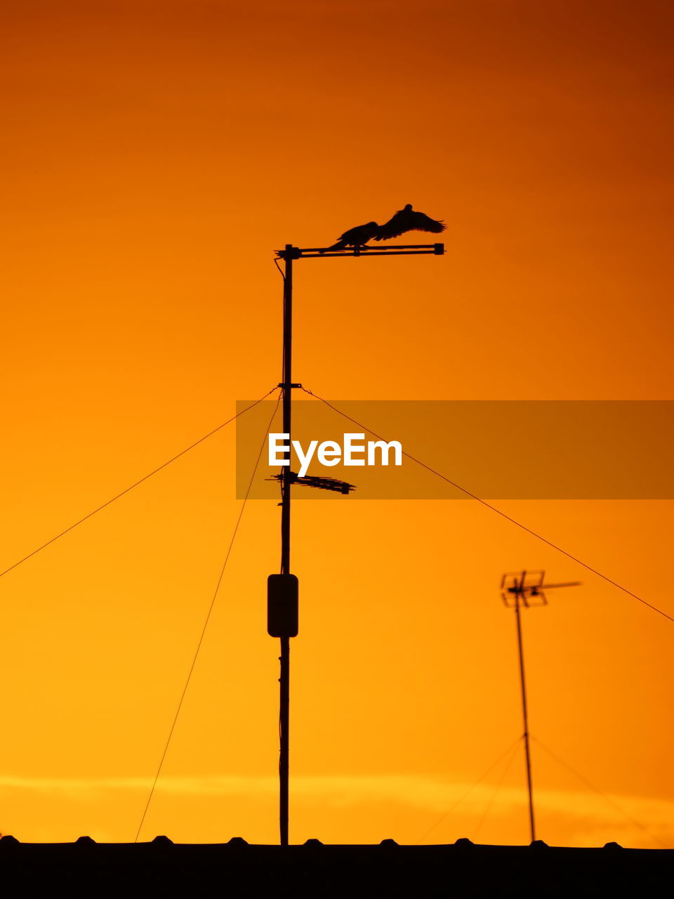 yellow, orange color, line, cable, sky, silhouette, sunset, hanging, nature, no people, electricity, outdoors, power line, orange, communication, low angle view, clear sky