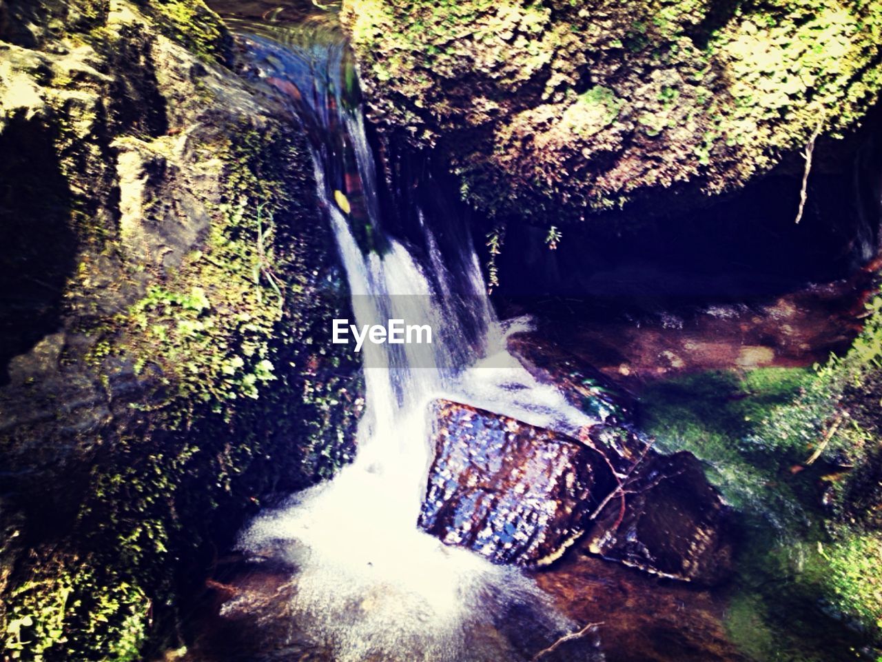 STREAM FLOWING THROUGH ROCKS IN FOREST