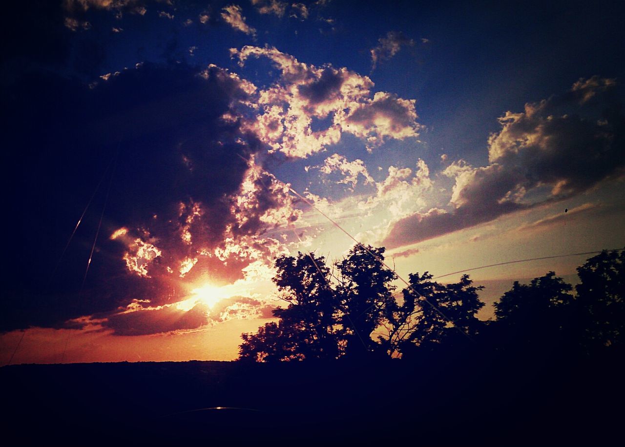 Silhouette trees against cloudy sky at sunset