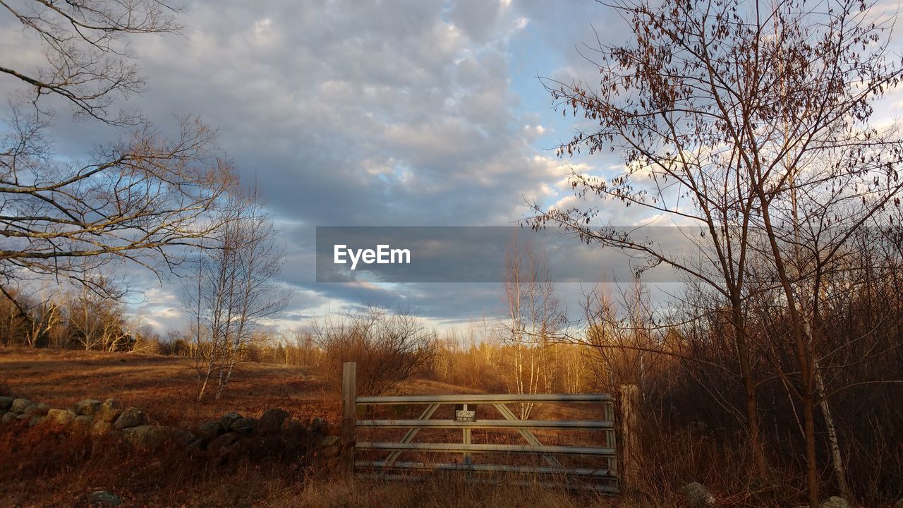 Bare trees on field against cloudy sky