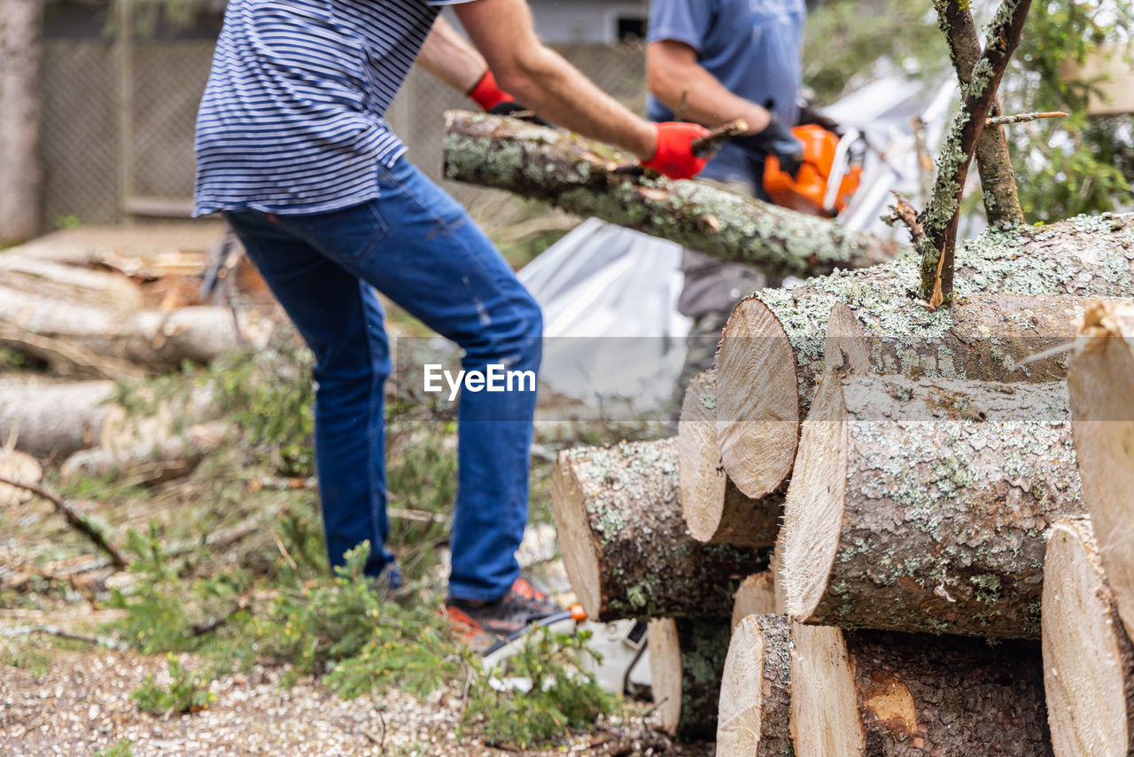 men, adult, chainsaw, two people, nature, plant, working, tree, casual clothing, wood, occupation, day, soil, holding, person, outdoors, work tool, standing, jeans, cooperation, focus on foreground, timber, teamwork, togetherness, protective workwear, forest, clothing, protection, land, lifestyles, low section, log, protective glove