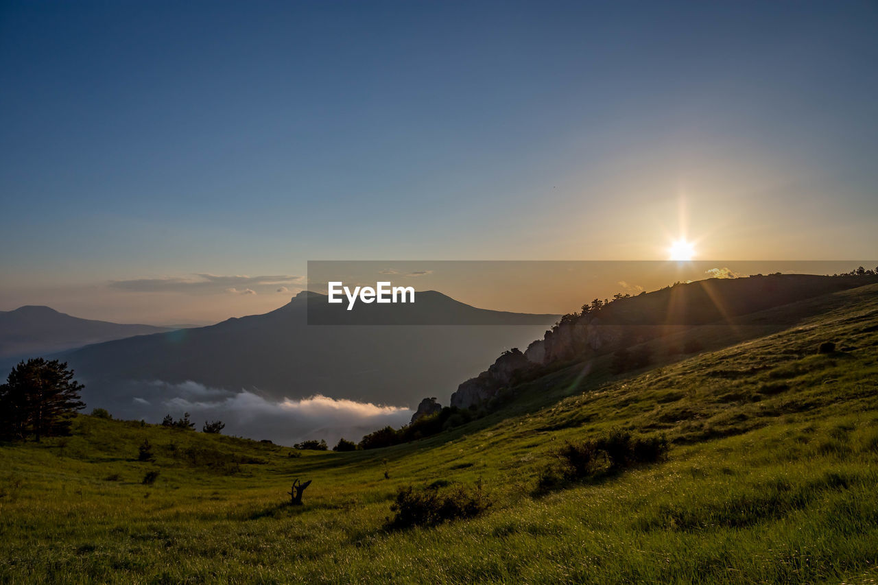 Scenic view of field against sky during sunset