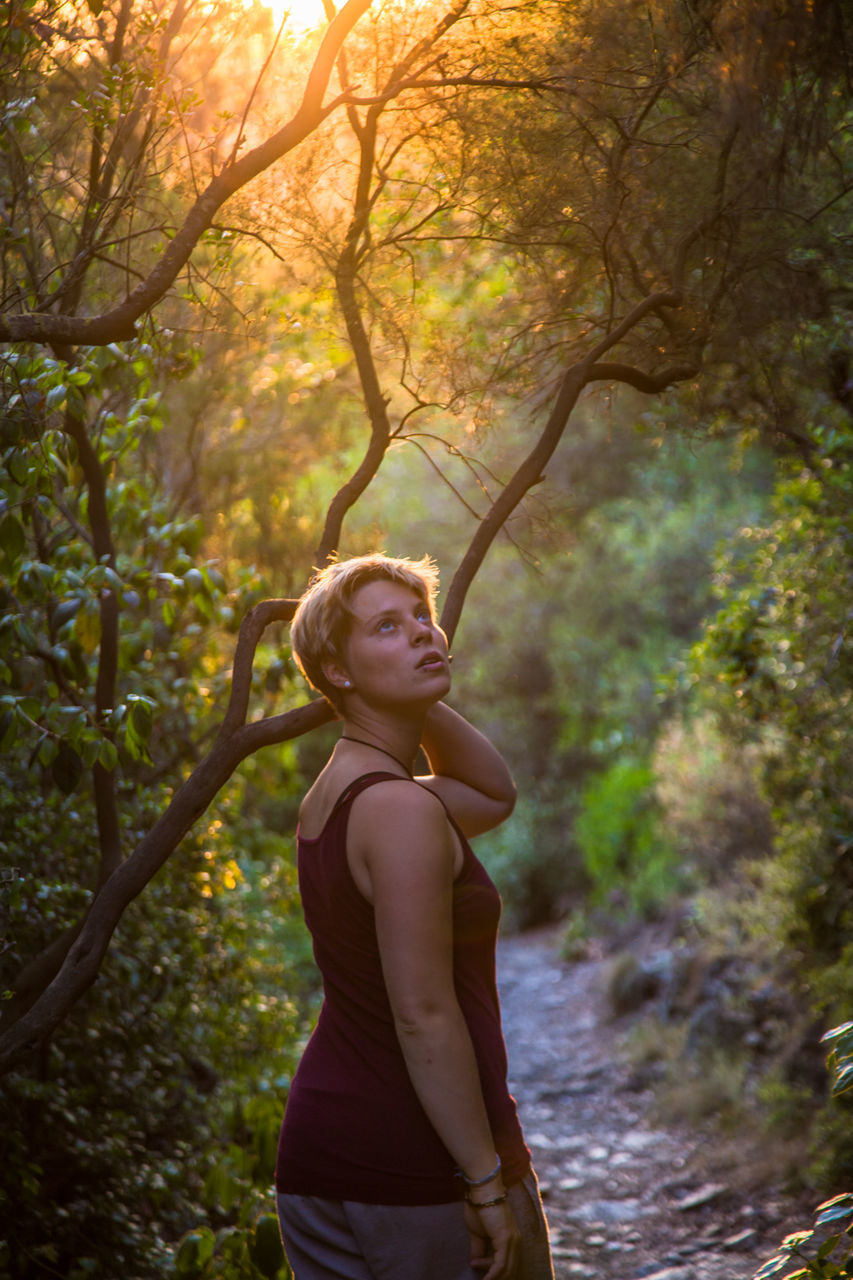 Woman hiking amidst trees in forest