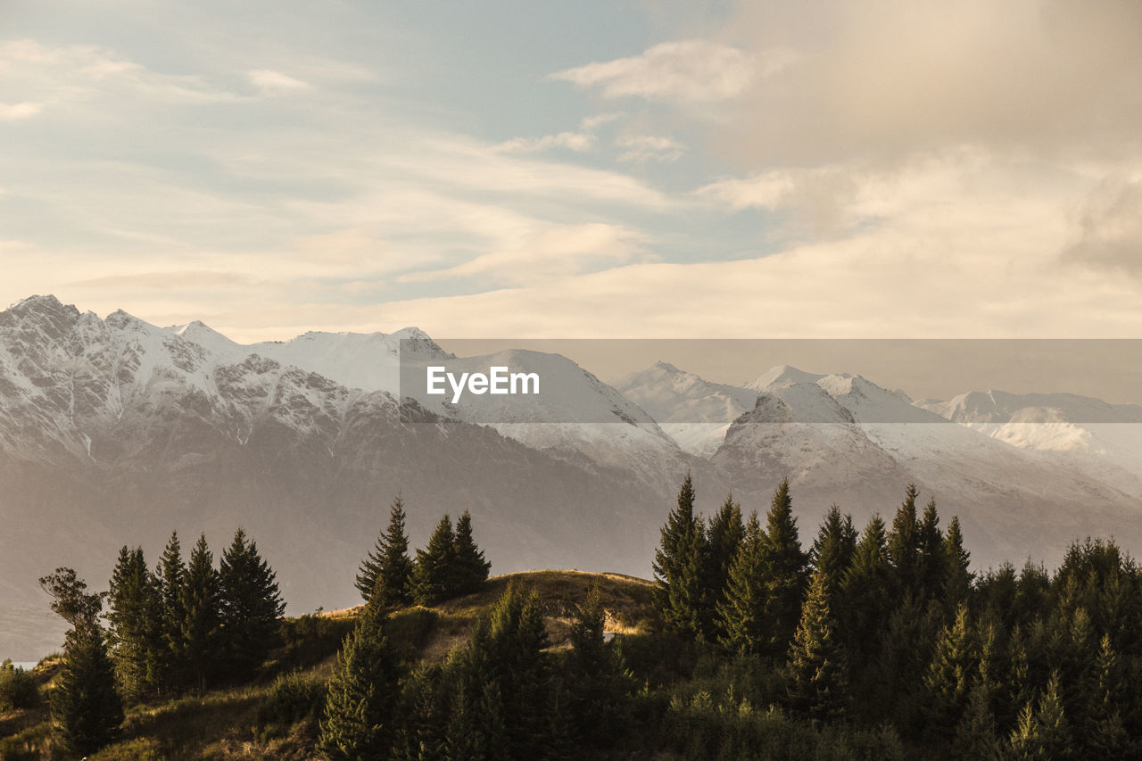 Trees against snowcapped mountains during sunset