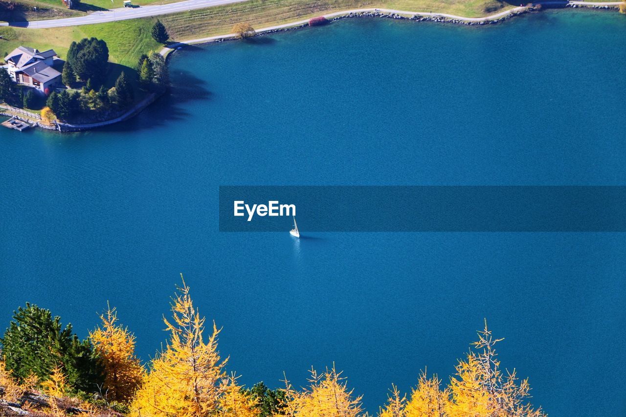 SCENIC VIEW OF BLUE SKY AND TREES