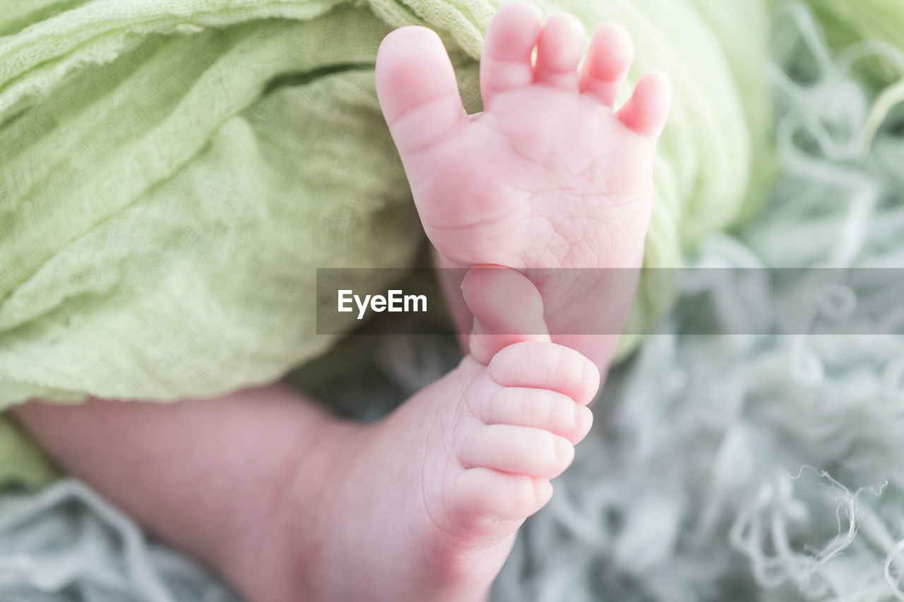 Close-up of bare baby feet on carpet