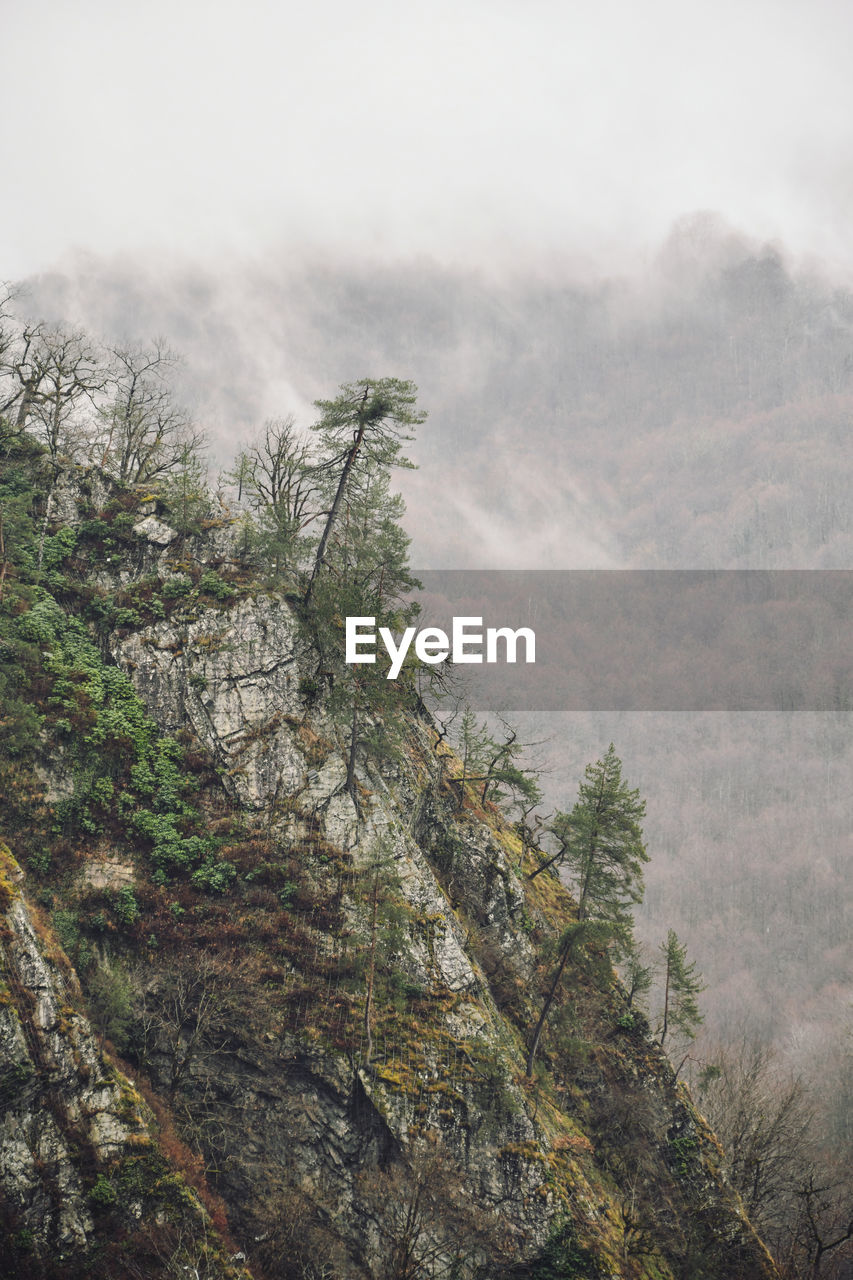 Scenic view of tree mountain against sky
