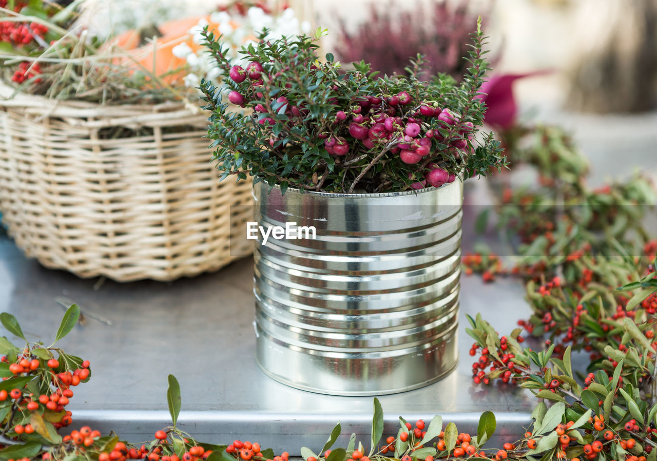 CLOSE-UP OF POTTED PLANTS IN WICKER BASKET