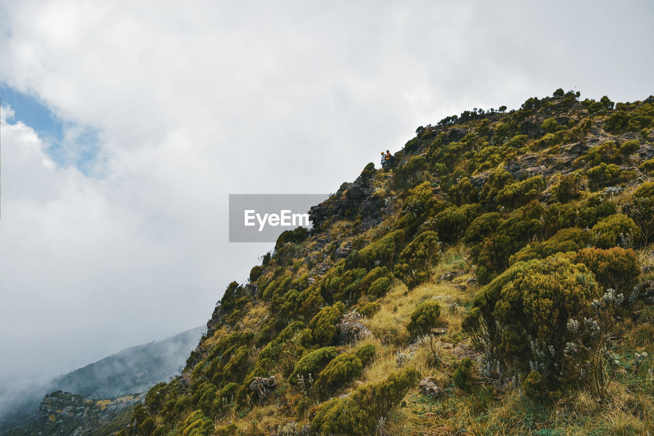 The foggy landscapes of aberdare ranges on the flanks of mount kenya