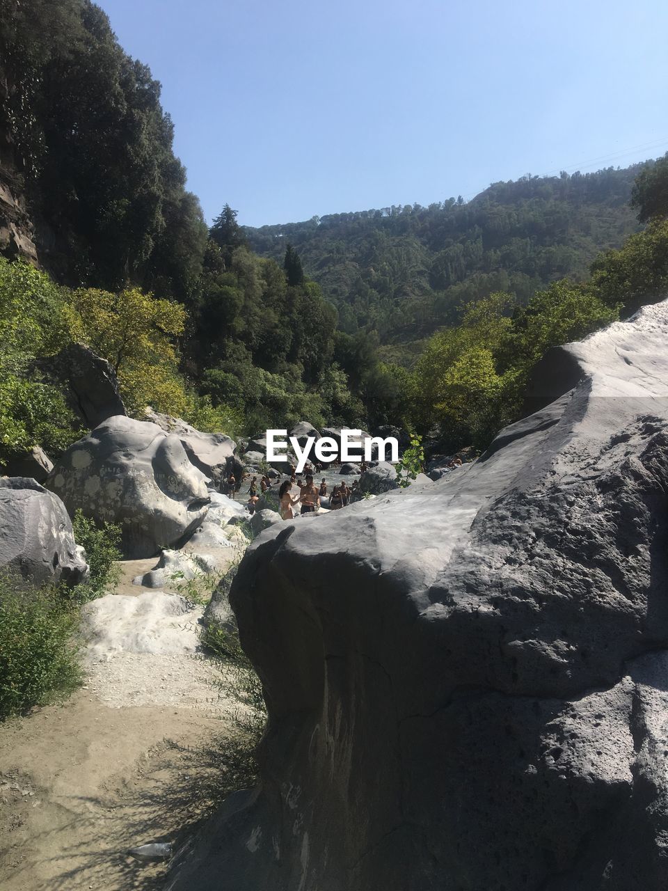 SCENIC VIEW OF STREAM FLOWING THROUGH ROCKS IN FOREST