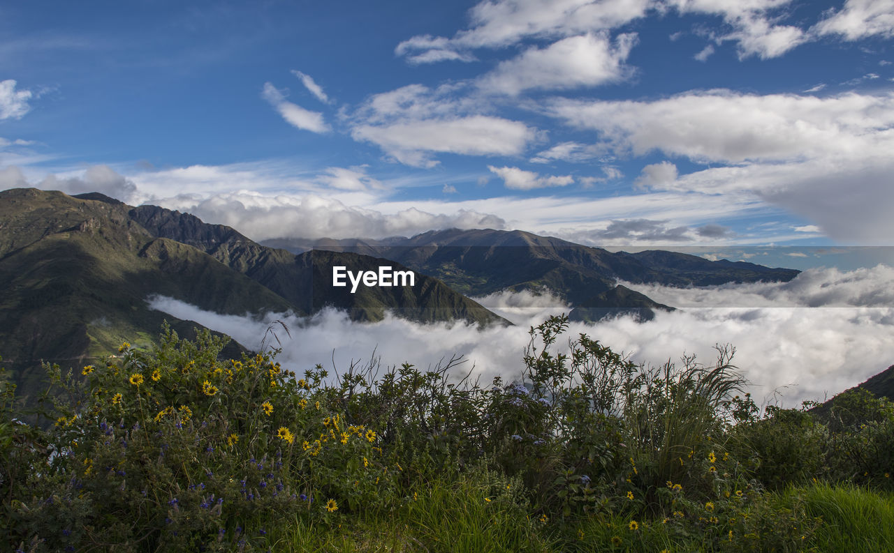 Clouds forming in a valley close to cotopaxi, bellavista, ecuador