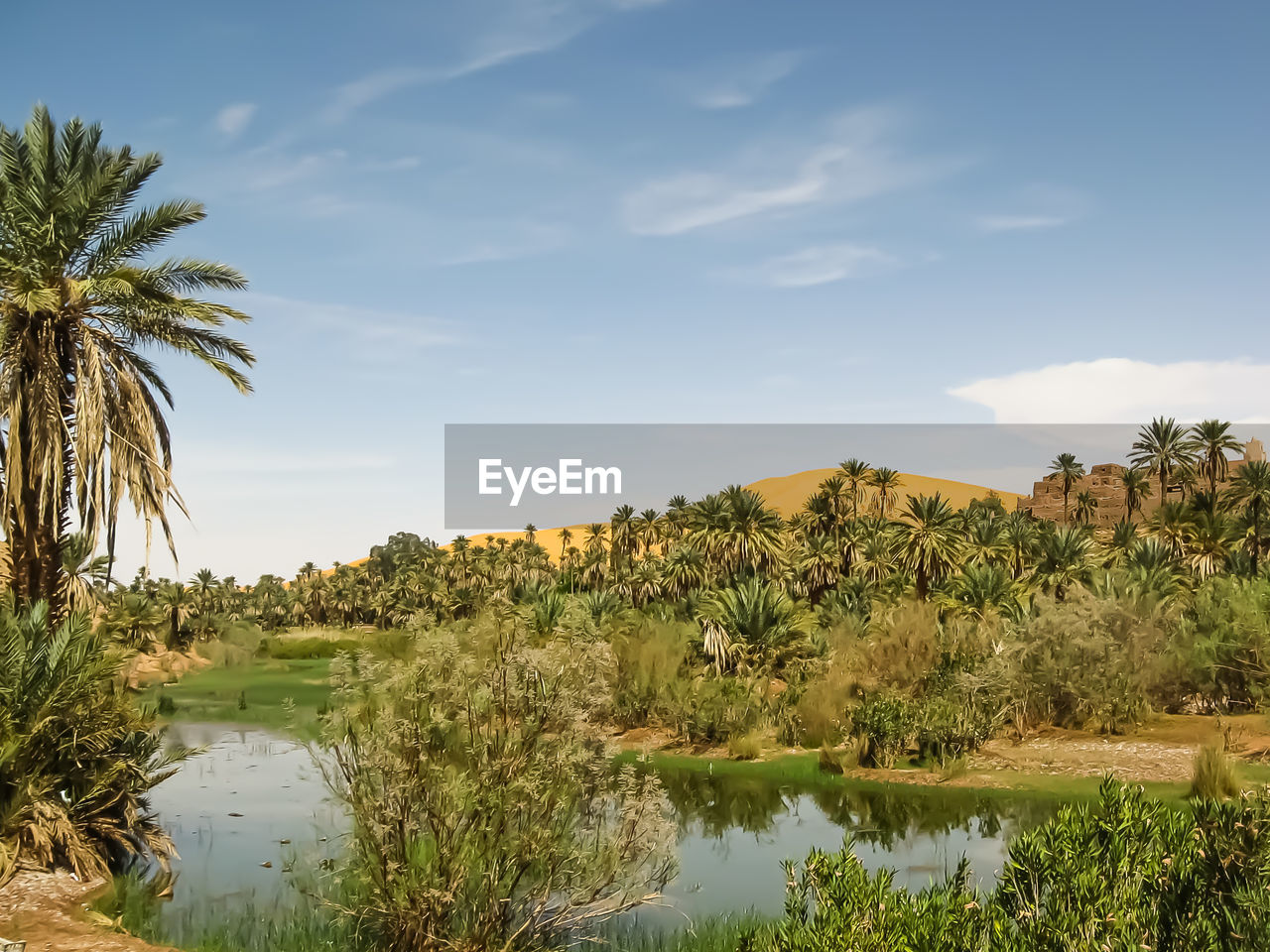 Scenic view of palm trees by lake against sky