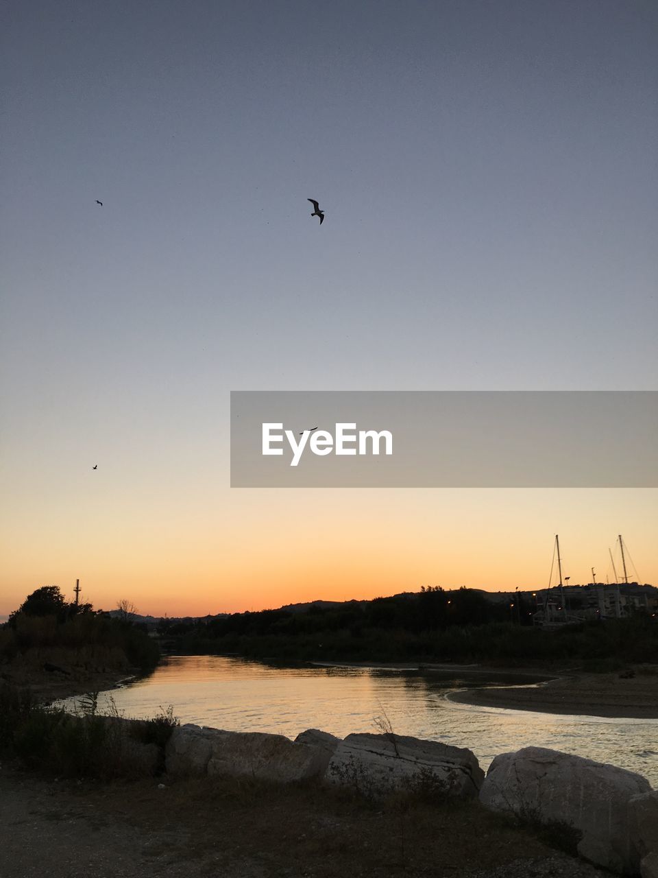 SILHOUETTE BIRD FLYING OVER SEA AGAINST CLEAR SKY