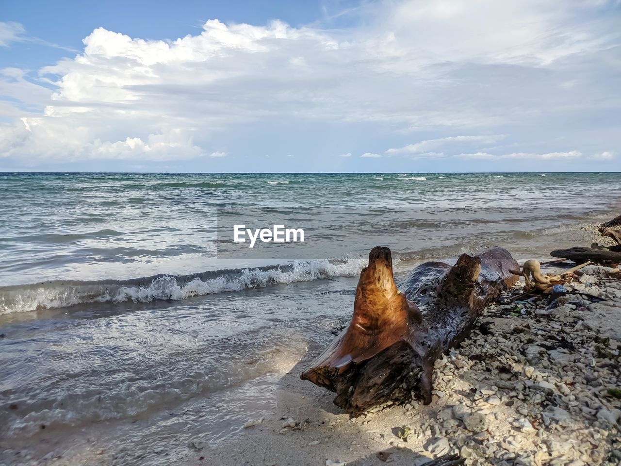 DRIFTWOOD ON BEACH AGAINST SEA