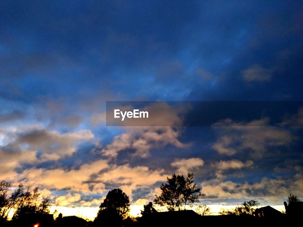 LOW ANGLE VIEW OF SILHOUETTE TREES AGAINST SKY AT SUNSET