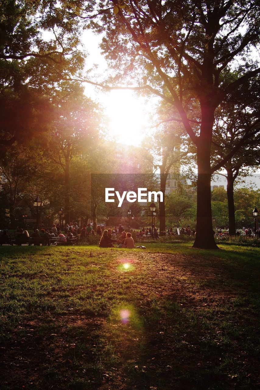 Couple sitting in park