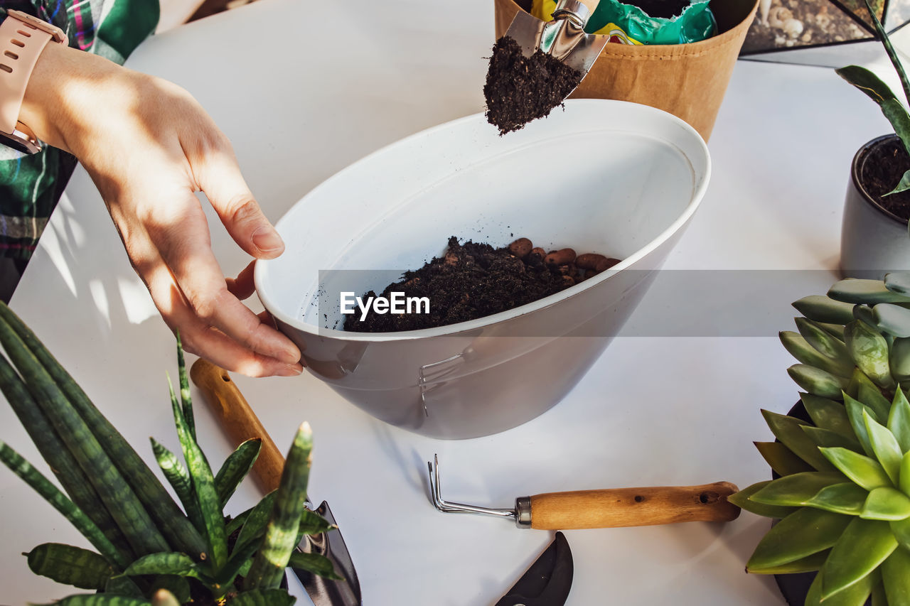 cropped hand of person preparing food