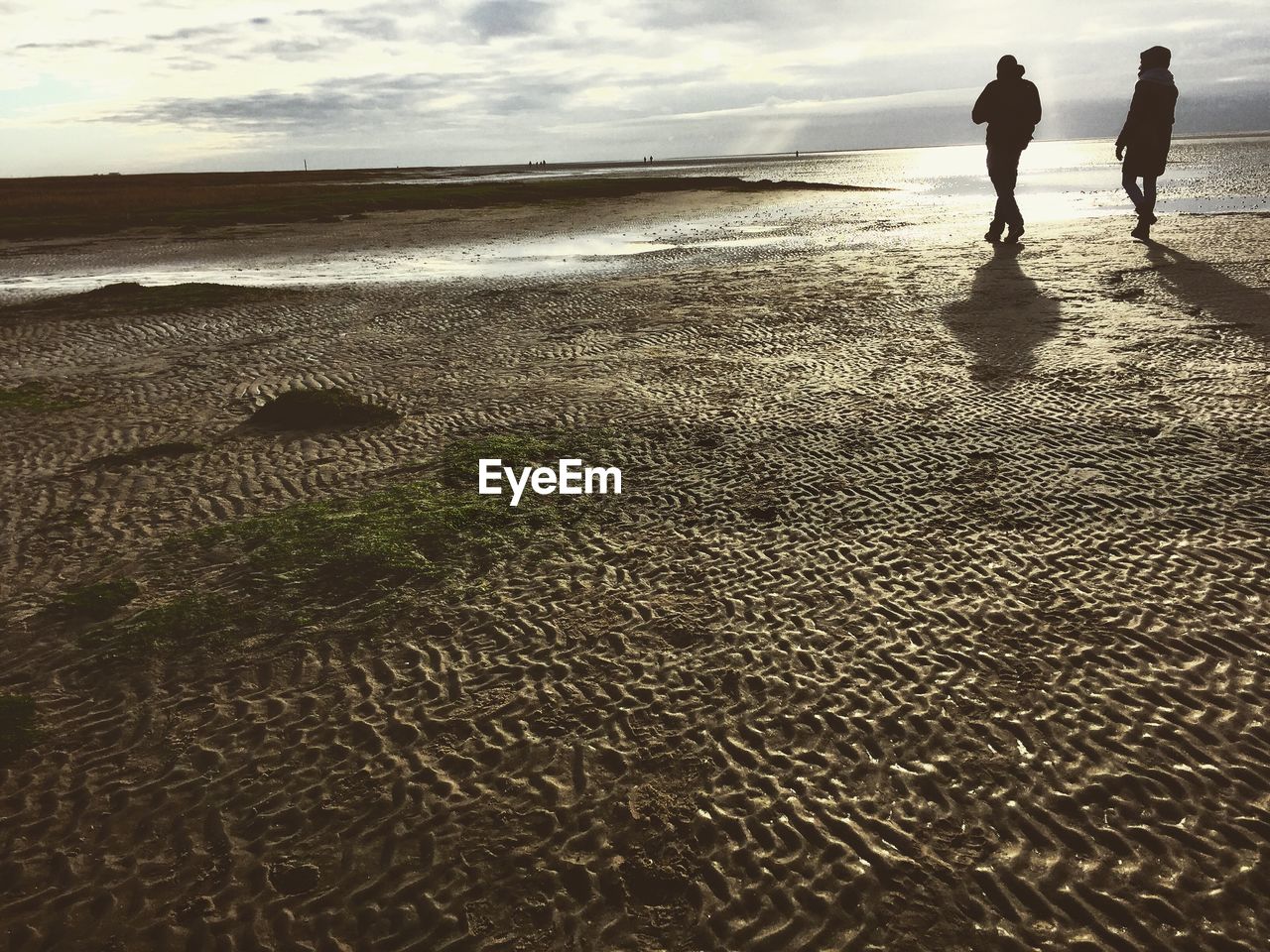 Rear view of people walking on beach