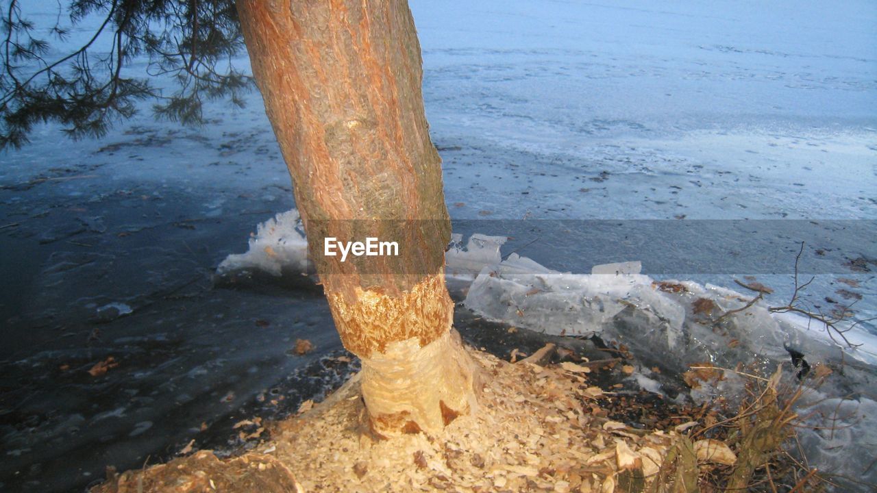 CLOSE-UP OF WATER IN SHALLOW