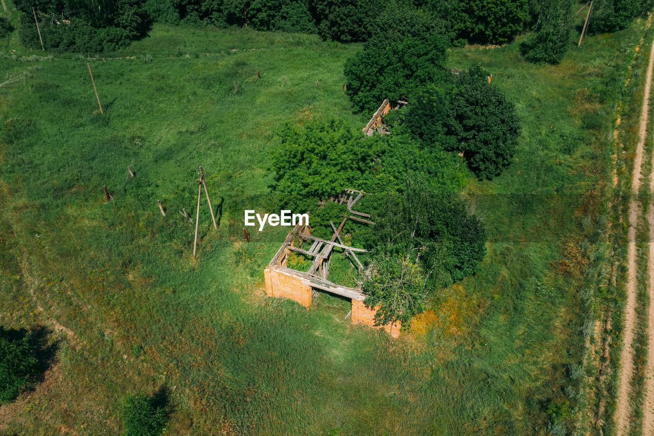 plant, green, growth, high angle view, tree, land, forest, field, nature, rural area, day, natural environment, landscape, no people, aerial photography, beauty in nature, tranquility, agriculture, environment, outdoors, scenics - nature, tranquil scene, rural scene, hill, grass, aerial view, woodland, jungle