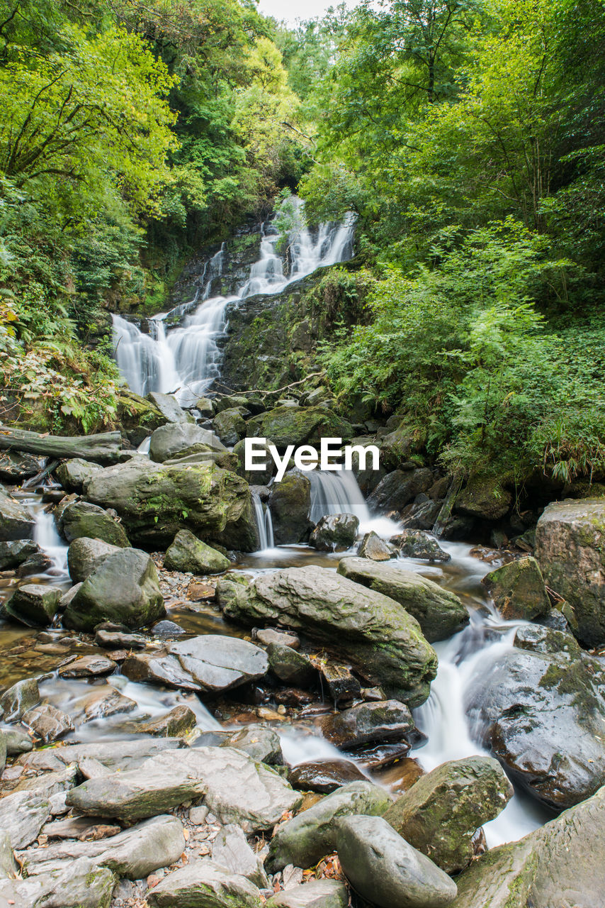 Waterfall in forest