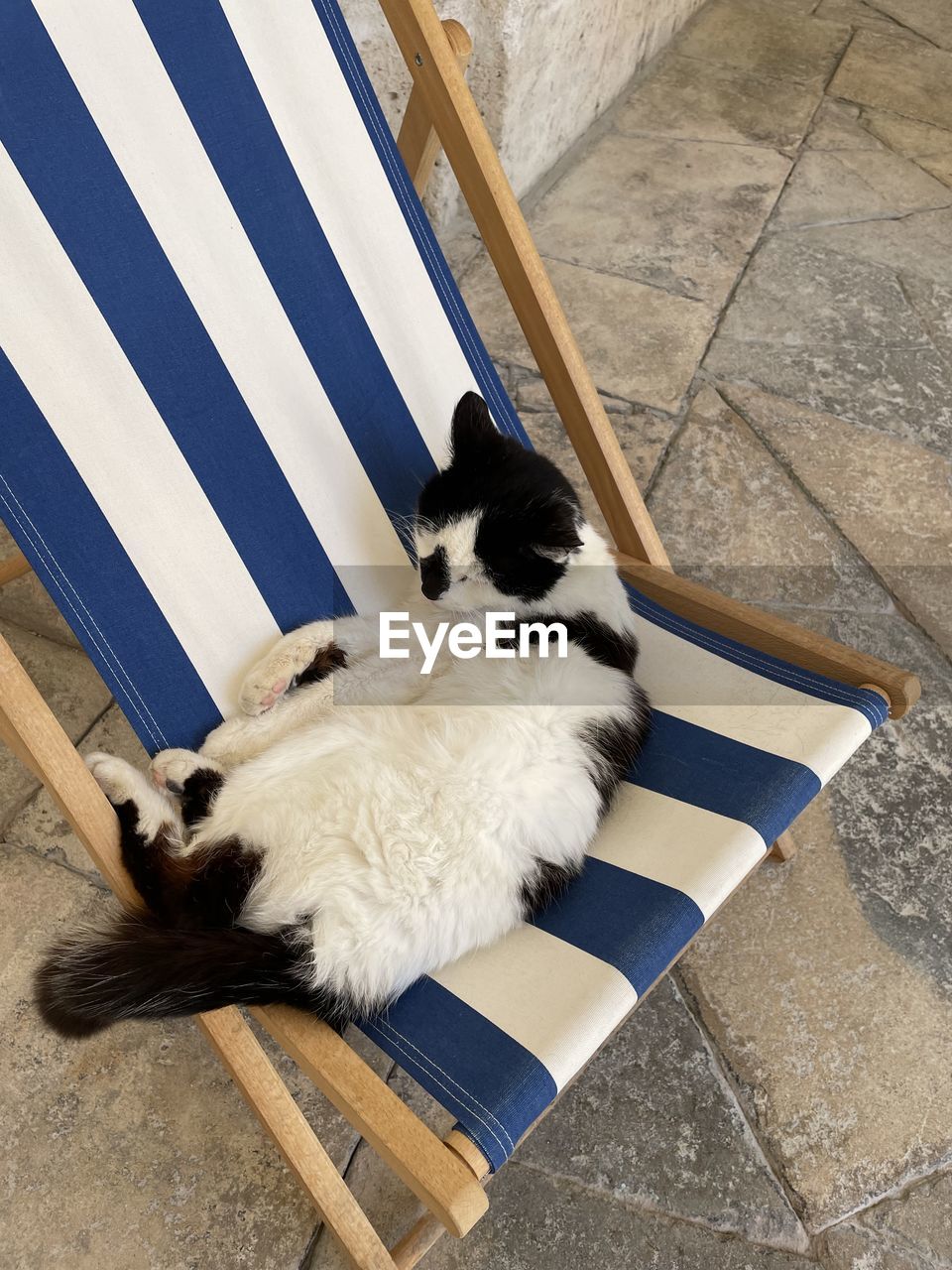 high angle view of cat sitting on american flag